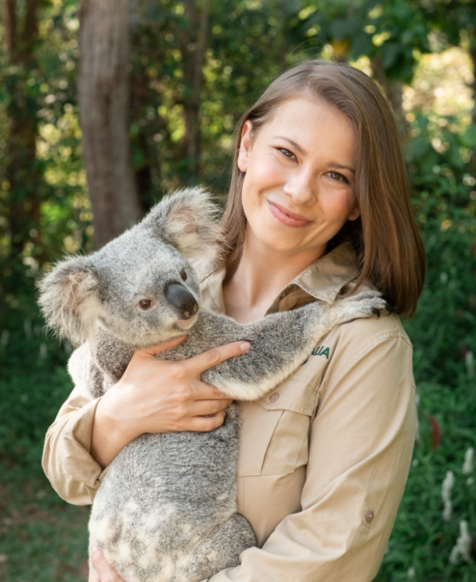 Bindi Irwin - Koala
