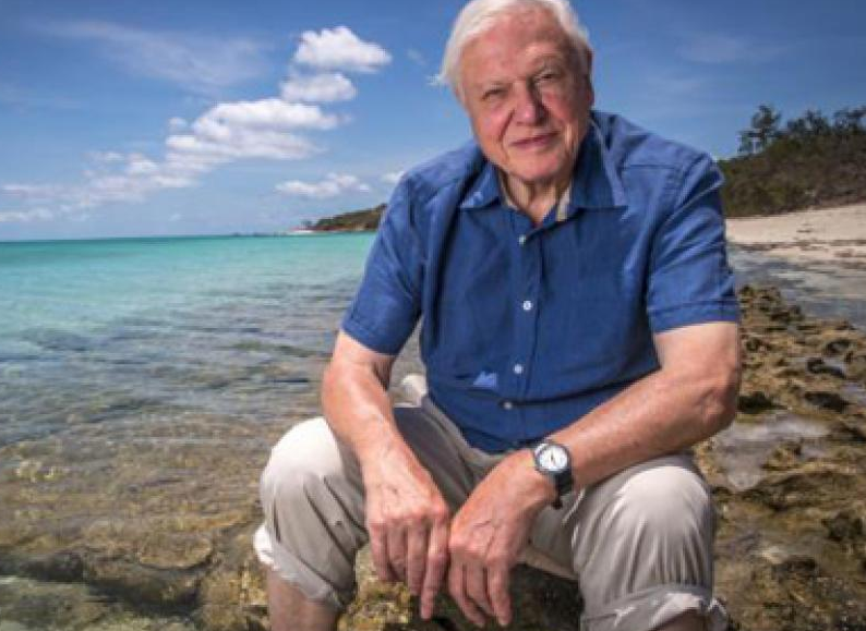 David Attenborough
